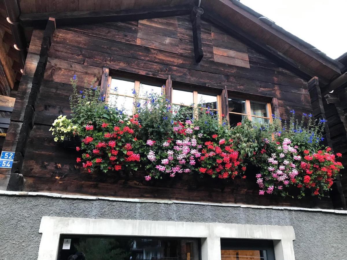 Villa Schirle à Zermatt Extérieur photo